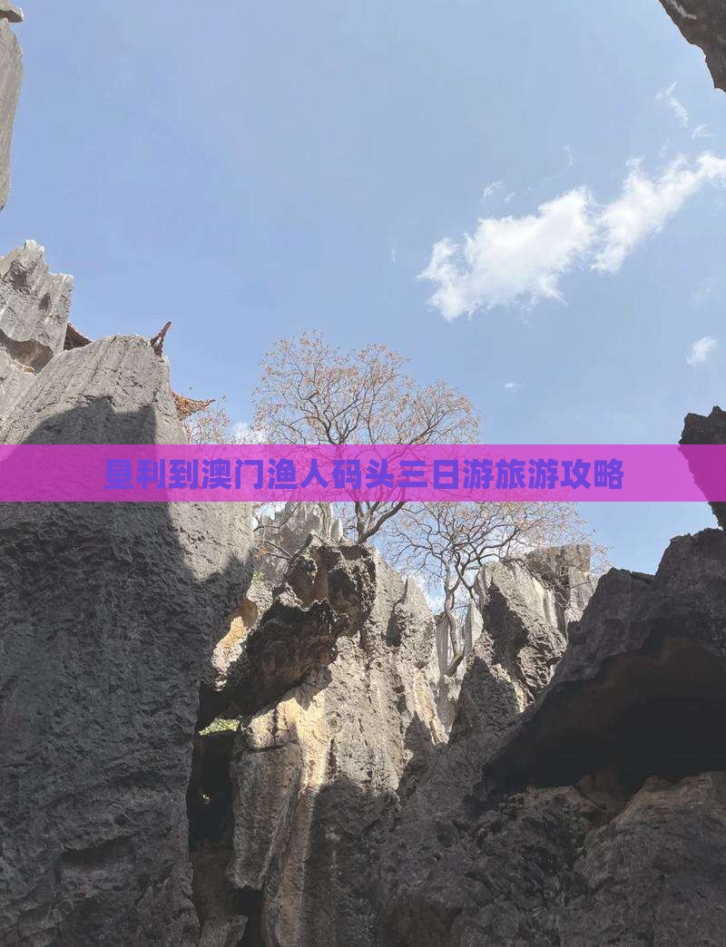 垦利到澳门渔人码头三日游旅游攻略