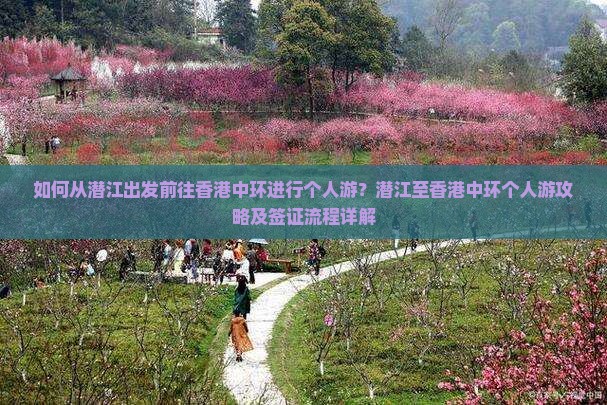 如何从潜江出发前往香港中环进行个人游？潜江至香港中环个人游攻略及签证流程详解