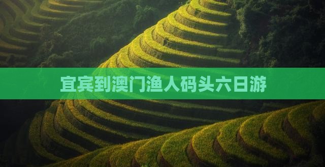 宜宾到澳门渔人码头六日游