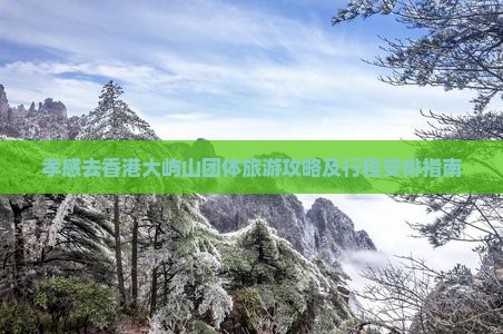 孝感去香港大屿山团体旅游攻略及行程安排指南
