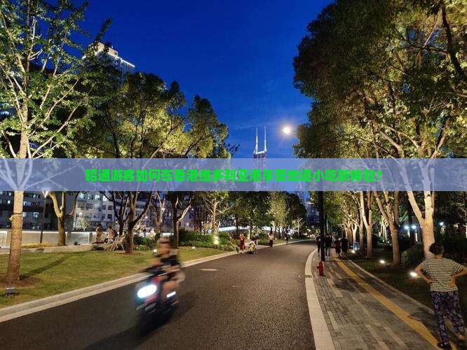 昭通游客如何在香港维多利亚港享受地道小吃新体验？