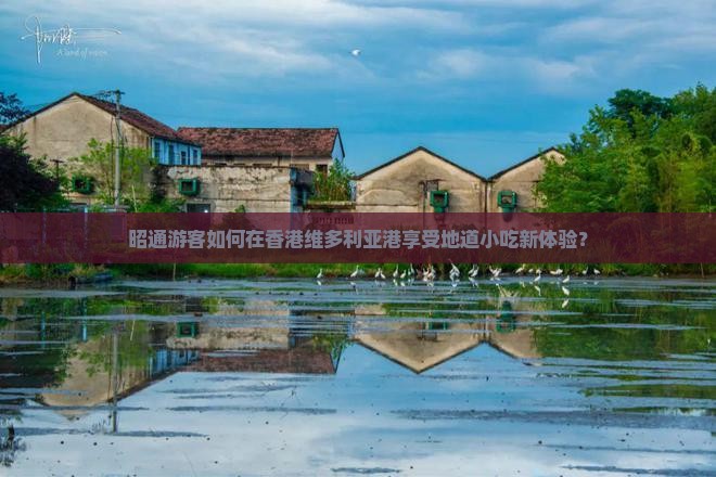 昭通游客如何在香港维多利亚港享受地道小吃新体验？