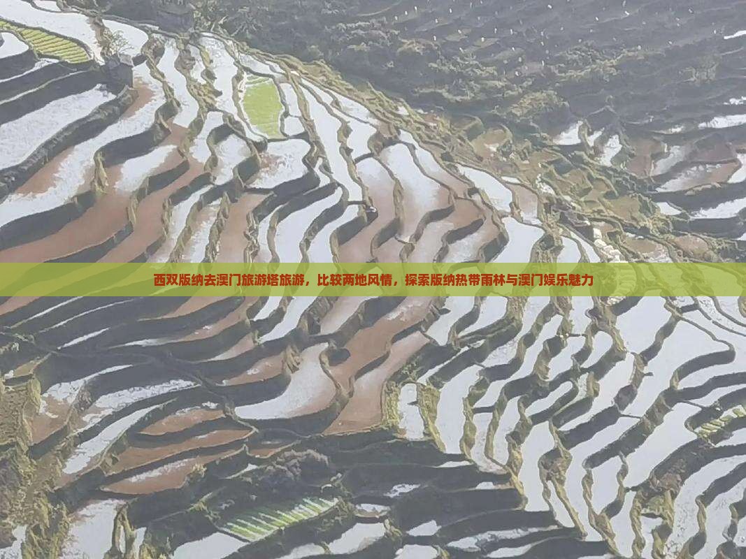 西双版纳去澳门旅游塔旅游，比较两地风情，探索版纳热带雨林与澳门娱乐魅力
