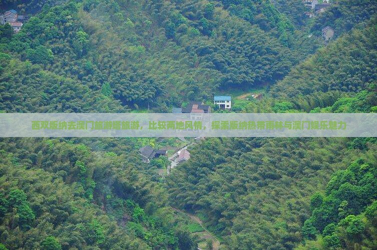 西双版纳去澳门旅游塔旅游，比较两地风情，探索版纳热带雨林与澳门娱乐魅力