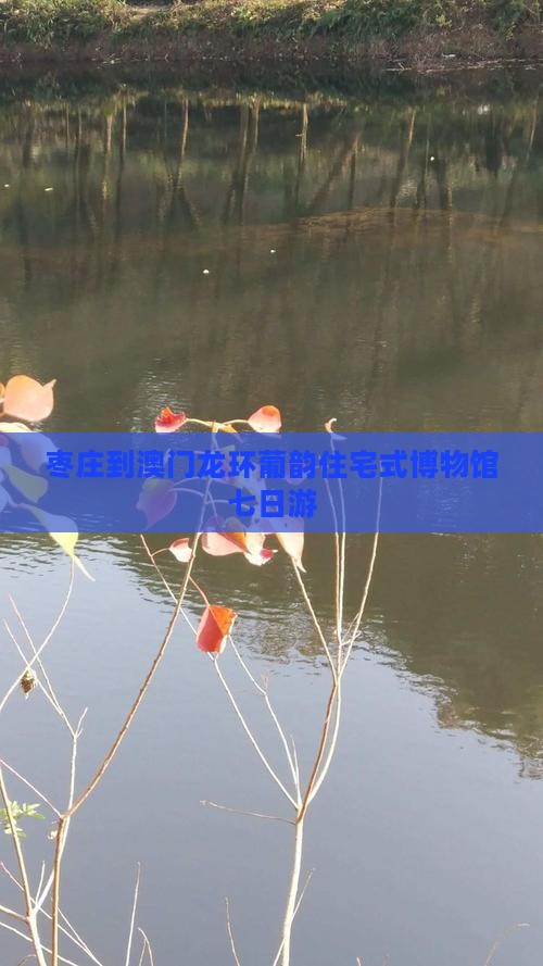 枣庄到澳门龙环葡韵住宅式博物馆七日游
