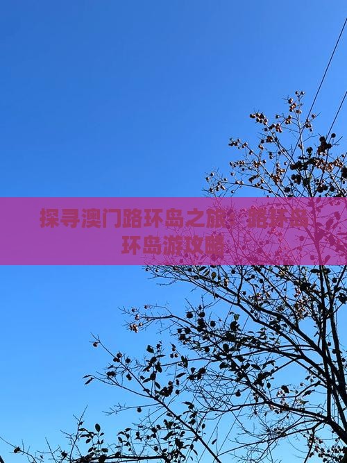 探寻澳门路环岛之旅：路环岛环岛游攻略
