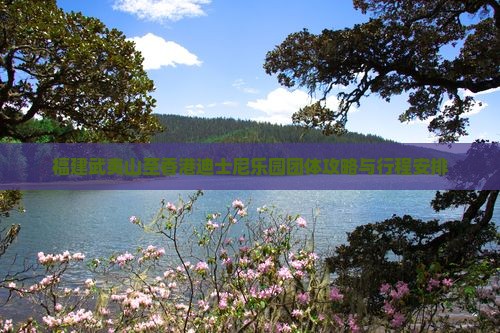 福建武夷山至香港迪士尼乐园团体攻略与行程安排