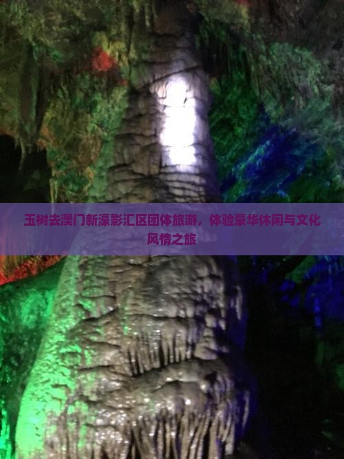 玉树去澳门新濠影汇区团体旅游，体验豪华休闲与文化风情之旅