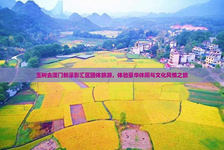 玉树去澳门新濠影汇区团体旅游，体验豪华休闲与文化风情之旅