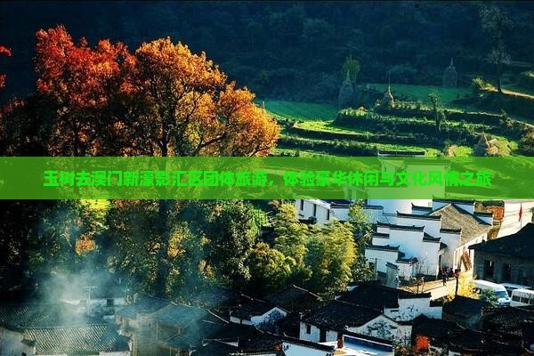 玉树去澳门新濠影汇区团体旅游，体验豪华休闲与文化风情之旅