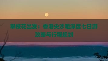 攀枝花出发：香港尖沙咀深度七日游攻略与行程规划
