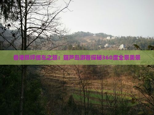 香港昂坪缆车之旅：葫芦岛游客探秘360度全景美景