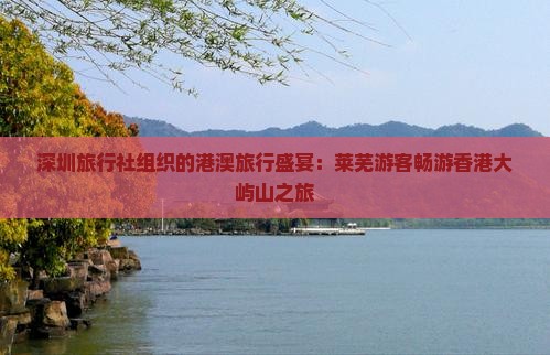 深圳旅行社组织的港澳旅行盛宴：莱芜游客畅游香港大屿山之旅