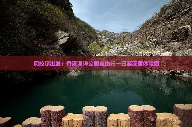 阿拉尔出发：香港海洋公园自由行一日游深度体验团