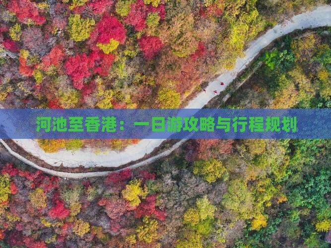 河池至香港：一日游攻略与行程规划