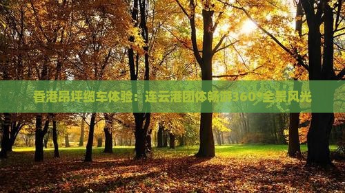 香港昂坪缆车体验：连云港团体畅游360°全景风光
