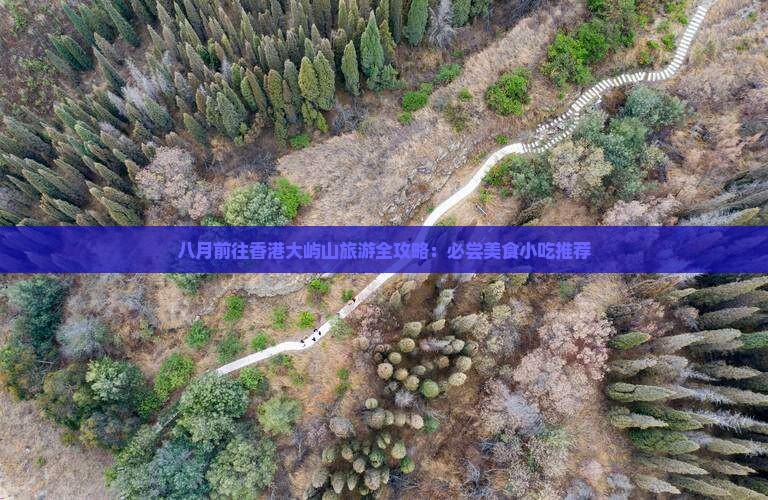 八月前往香港大屿山旅游全攻略：必尝美食小吃推荐