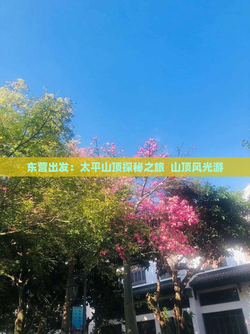 东营出发：太平山顶探秘之旅  山顶风光游