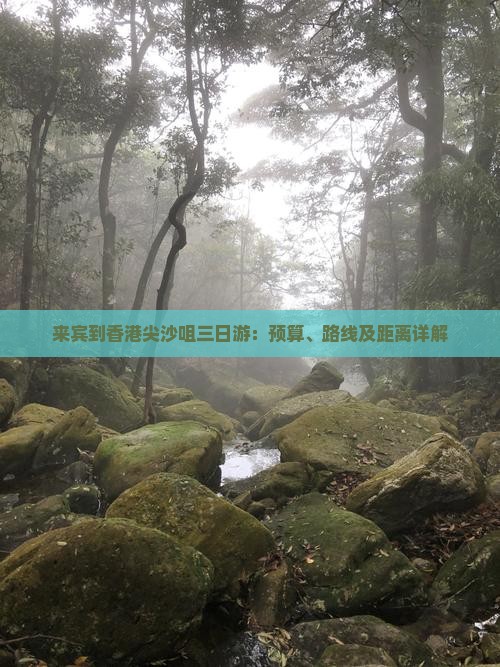 来宾到香港尖沙咀三日游：预算、路线及距离详解