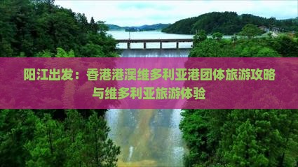 阳江出发：香港港澳维多利亚港团体旅游攻略与维多利亚旅游体验