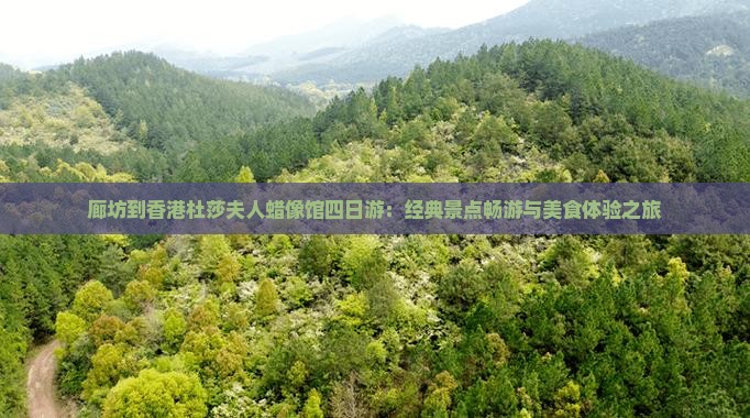 廊坊到香港杜莎夫人蜡像馆四日游：经典景点畅游与美食体验之旅
