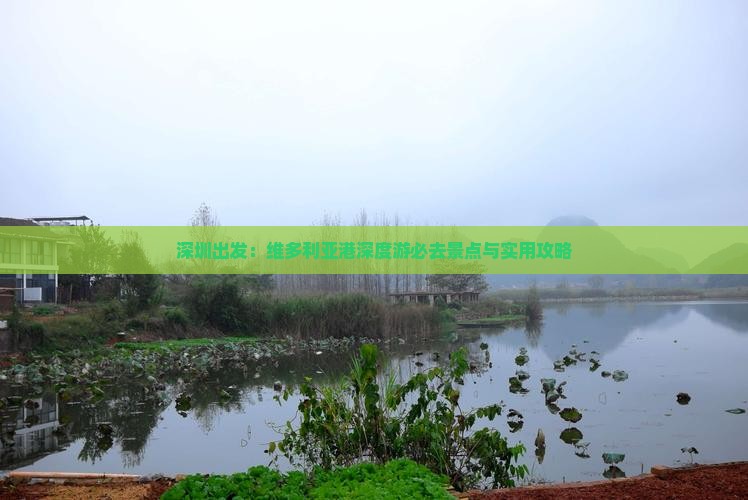 深圳出发：维多利亚港深度游必去景点与实用攻略