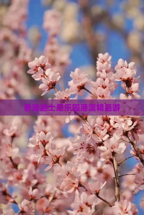 香港迪士尼乐园港澳精品游