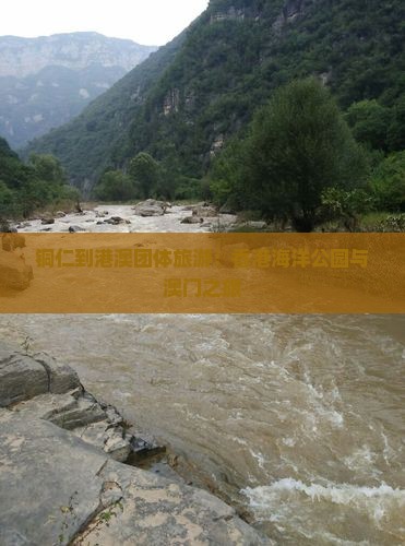 铜仁到港澳团体旅游：香港海洋公园与澳门之旅
