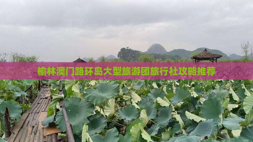榆林澳门路环岛大型旅游团旅行社攻略推荐