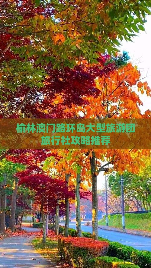 榆林澳门路环岛大型旅游团旅行社攻略推荐