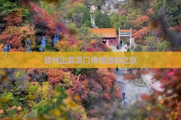 钦州出发澳门风情团体之旅