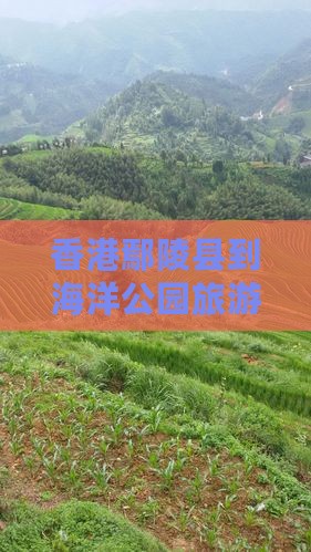 香港鄢陵县到海洋公园旅游攻略