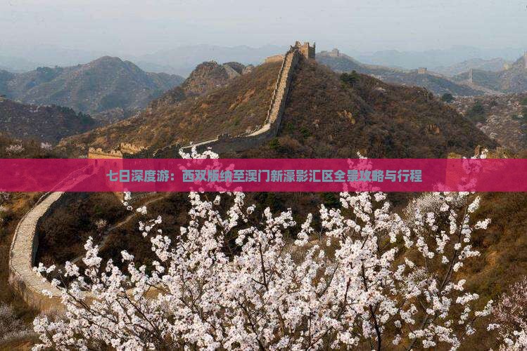 七日深度游：西双版纳至澳门新濠影汇区全景攻略与行程