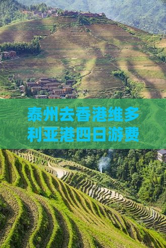 泰州去香港维多利亚港四日游费用及路线攻略