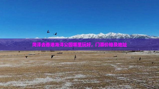 菏泽去香港海洋公园哪里玩好，门票价格及地址