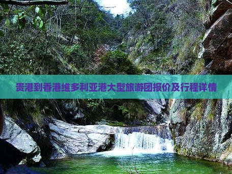 贵港到香港维多利亚港大型旅游团报价及行程详情