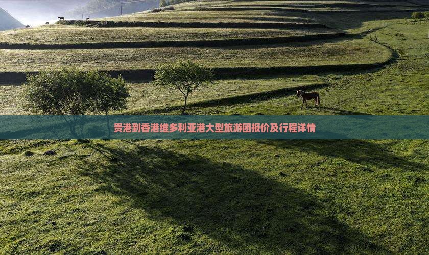 贵港到香港维多利亚港大型旅游团报价及行程详情