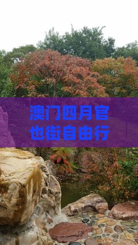 澳门四月官也街自由行攻略