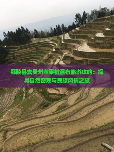 鄢陵县去贵州黄果树瀑布旅游攻略：探寻自然奇观与民族风情之旅