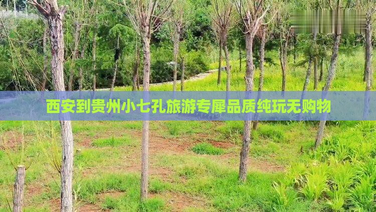 西安到贵州小七孔旅游专犀品质纯玩无购物