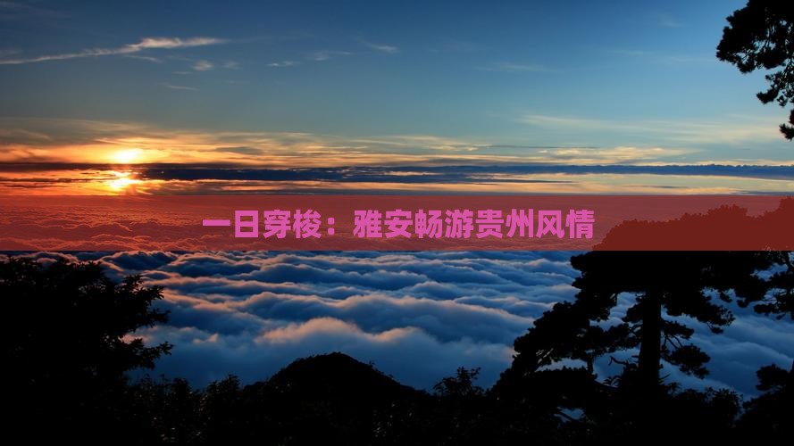 一日穿梭：雅安畅游贵州风情