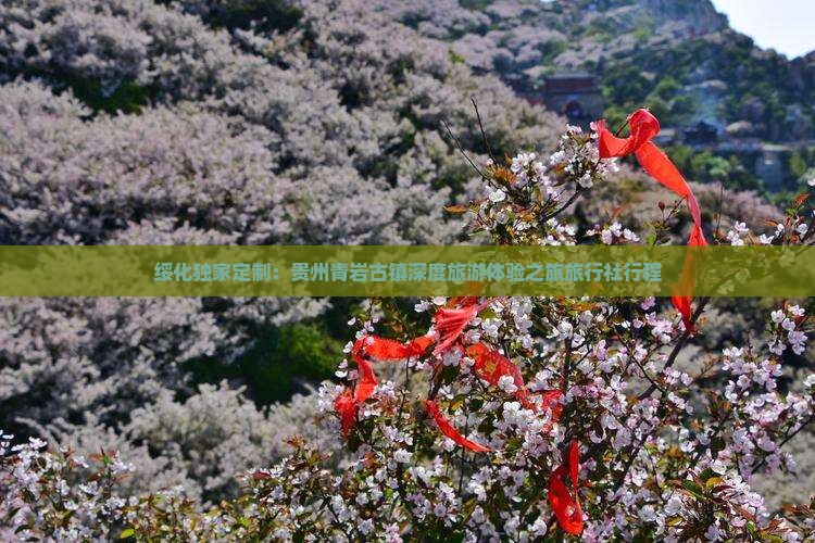 绥化独家定制：贵州青岩古镇深度旅游体验之旅旅行社行程