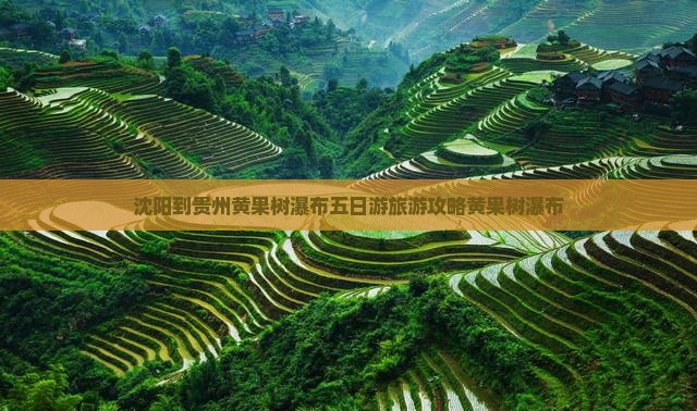 沈阳到贵州黄果树瀑布五日游旅游攻略黄果树瀑布
