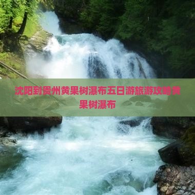 沈阳到贵州黄果树瀑布五日游旅游攻略黄果树瀑布