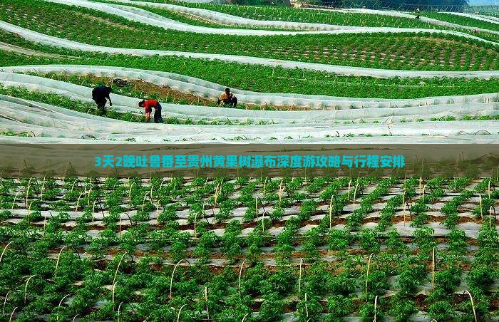 3天2晚吐鲁番至贵州黄果树瀑布深度游攻略与行程安排