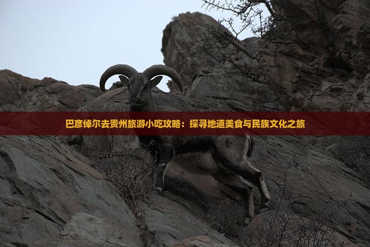 巴彦倬尔去贵州旅游小吃攻略：探寻地道美食与民族文化之旅