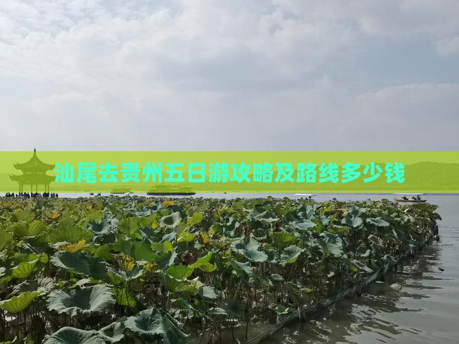 汕尾去贵州五日游攻略及路线多少钱