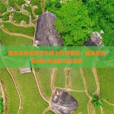 雅安去贵州青岩古镇七日游费用、路线及游玩时长与值得与否解析