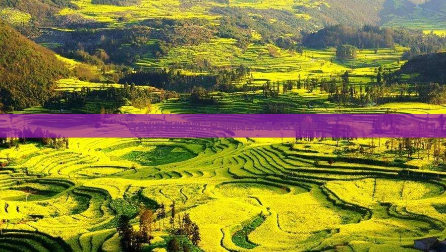 吉安出发贵州贵阳六日游路线全攻略必打卡景点