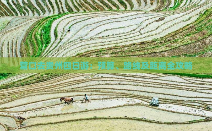 营口去贵州四日游：预算、路线及距离全攻略